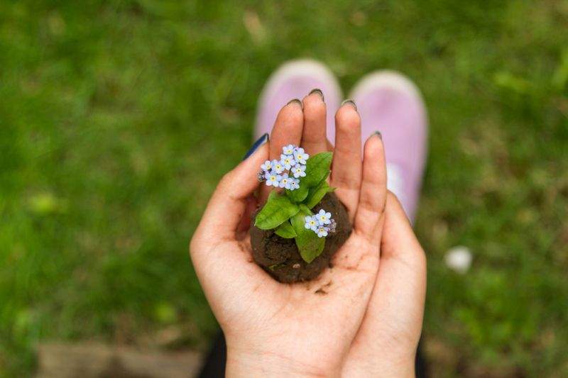 初めての方にもおすすめしたい季節の寄せ植え
