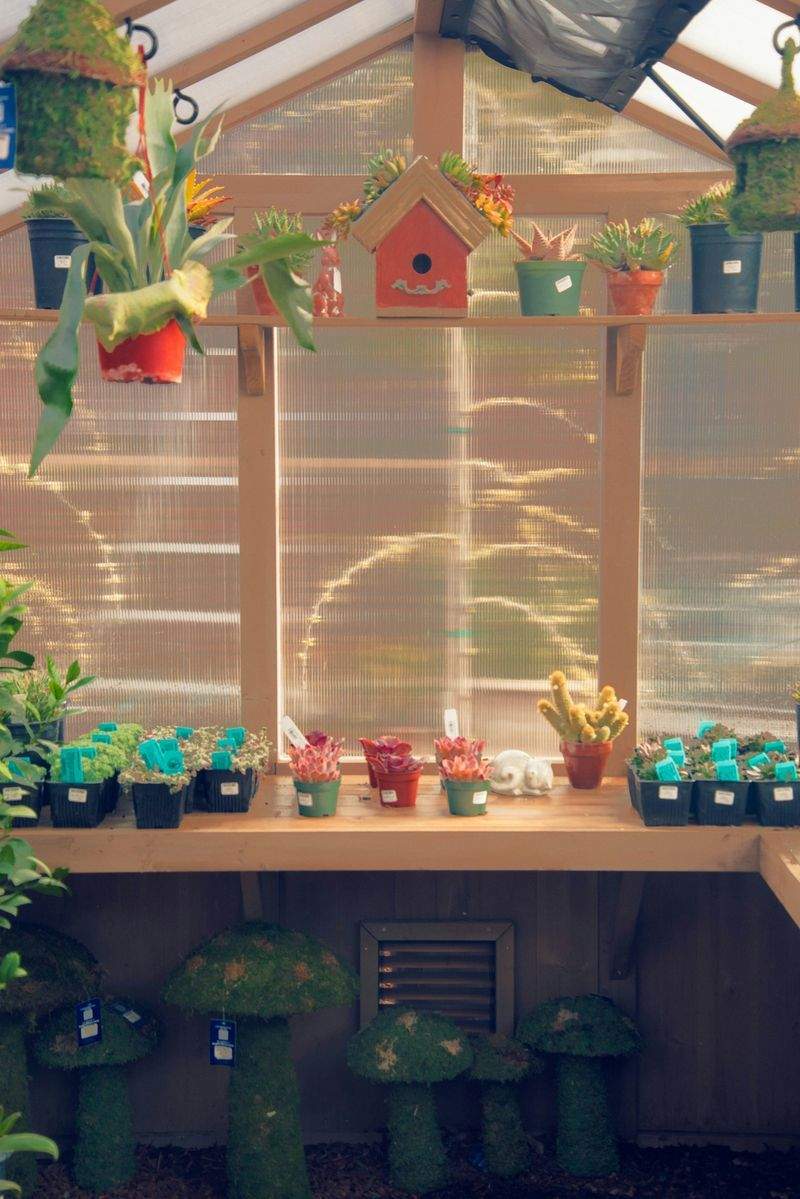 季節の花苗・植栽プランニング